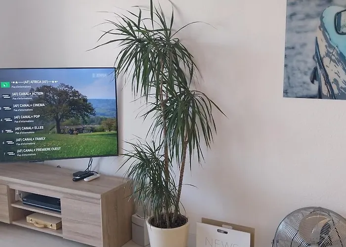 Front Sea View Punta Prima Apartment Punta Prima (Alicante)