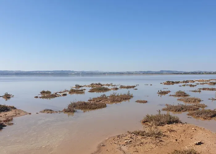 Front Sea View Punta Prima Apartment